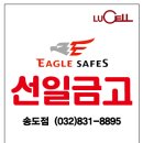 선일안경 이미지