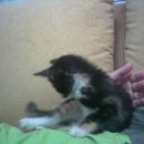 구포3동-5 이미지