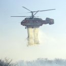 새영화목장 이미지