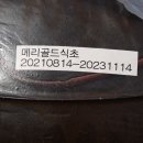 진안마이산묵밥