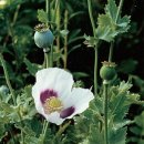 인천중부경찰서공항지구대 이미지