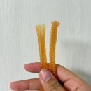 펫어스 이미지