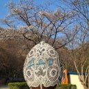 자유수호평화박물관주차장 이미지