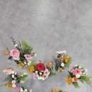 동반자케어 이미지