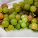 쓰레기 없애기 실천으로 지구를 살리자∼ | 〈브라보 내 인생　신앙 체험〉 제167회 96세, 칠판 앞에서 길러온 교육 철학