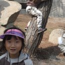 푸른자연유치원 이미지