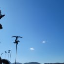 마레몬테펜션 이미지