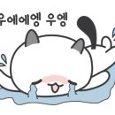 순수하개 이미지