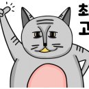 팝핑캔디