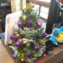 대학당구장 이미지