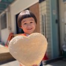 트리케라톱스-3 이미지