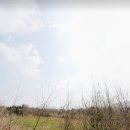 수망리교차로 2 이미지