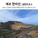 서호동-50 | 제주 한라산 등산 초보 성판악 코스 준비물 주차 버스 소요시간 백록담 정상 9시간 걸린 후기