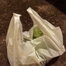 성우수산 이미지