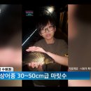 청춘실내낚시터 이미지
