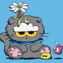 조아(ZOA) 이미지