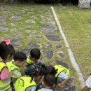 버클리어린이집 이미지