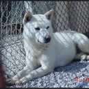 용호농장 이미지