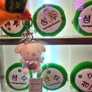 뽑기GO | 성수 인형뽑기방 성지 슈퍼베어 과연 잘 뽑힐까? 솔직후기