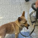 723 | 인천공항 -> 오사카 간사이 국제공항 KE723 탑승 후기