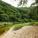 반디하우스캠핑장 이미지