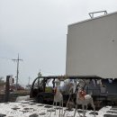 당근료칸풀빌라 | [경주] 감포 펜션 | 당근료칸풀빌라 후기