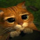 장화신은고양이 이미지