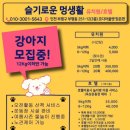 슬기로운 멍생활 이미지