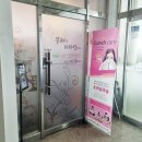 메노플라워