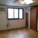 팔레스텔 이미지