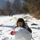 덕유대자동차야영장 이미지