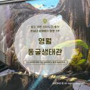 아이와 강원도 영월 여행 코스, 체험과 교육을 한 번에 잡은 '영월동굴생태관' 솔직 후기!