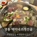 동수원세무서 1층 | 맛집] 택이네 조개전골 : 영통역 근처 조개전골 맛집, 수원 조개집, 양 미친 조개전골, 영통조개전골 후기