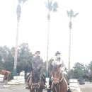 선궷네 | [여행] 제주도 중문승마공원 내돈내산 체험 후기