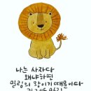 다밀림 이미지