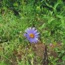 간현농장 이미지