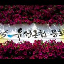2015 유성온천 문화축제 두드림 공연장_ 이웃사랑참사랑연주단 (2015.5.9.토) 이미지
