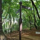 고양시립 아람미술관 이미지