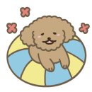 세븐에이알 [7AR] 이미지