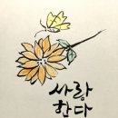 모든날이 행복하기를 Daum카페