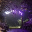 지니의 캠프 이미지