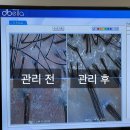 이마상사 김포지점 | 김포 탈모 두피케어 전문 닥터모락 풍무동두피관리·검단두피관리 후기