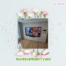 (주)천성정보통신 | 부산무타공벽걸이TV설치 천성정보통신 합리적인 가격 최고