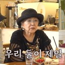 사미자 카카오 검색결과