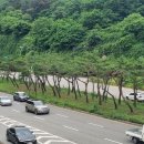 생활권25 이미지