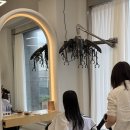 삼화빌딩 | [제주시미용실/ 삼화지구미용실] 레이어드펌 전문으로 하는 &#39;어나더데이 삼화점&#39; 솔직후기