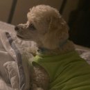 영훈농장 이미지