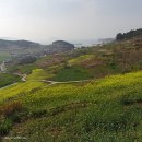 해변의 왈츠 이미지