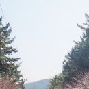 내리공중화장실 이미지