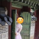 펜드로잉&어반스케치 중급 이미지